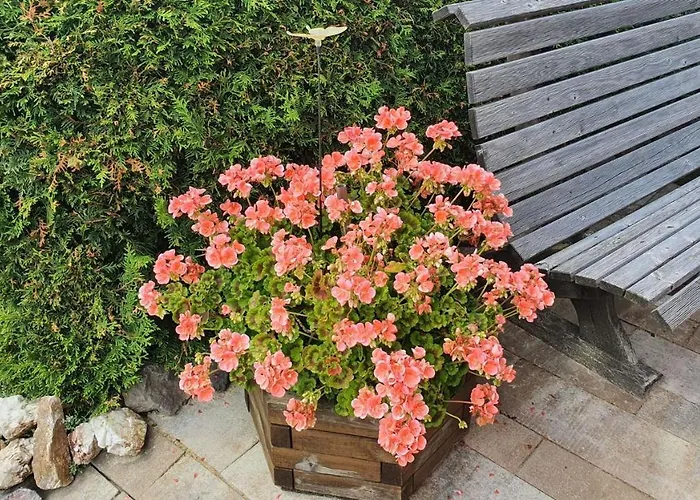 Monis Gemütliche Suhl